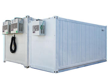 container reefer con dude frigo sicurezza